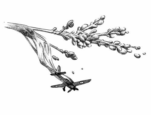 Illustration from the book "Leben, Krieg, Lyrik" (Life, War, Poetry). A plane is crashing.